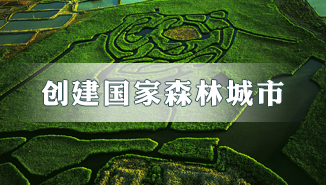 創建國家森林城市